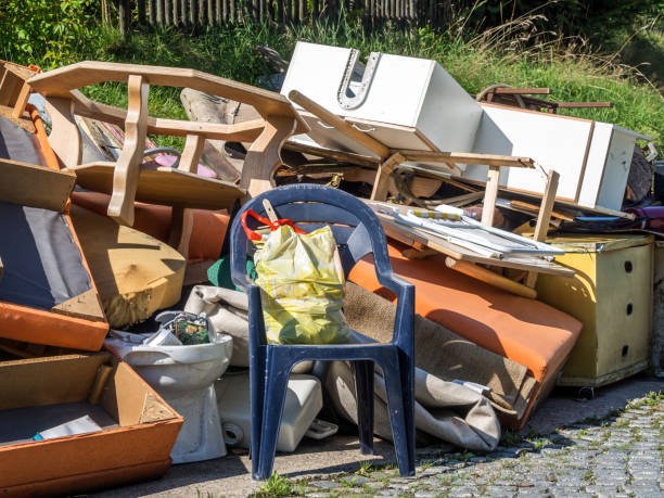 Best Moving and Downsizing Cleanouts  in Lopezville, TX